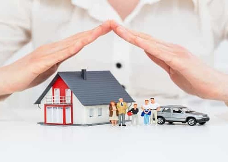 Distinctive Characteristics of Term Life Insurance Differ from Those of Universal Life Insurance