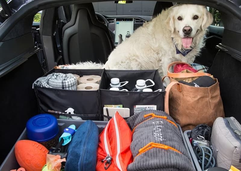 10 Road Trip Essentials Smart Travelers Truly Rely On